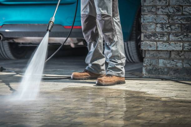 Best Residential Exterior Washing  in White Cloud, MI