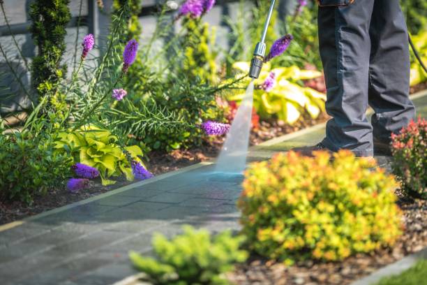 Best Restaurant Pressure Washing  in White Cloud, MI