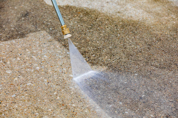 Best Dumpster Area Cleaning  in White Cloud, MI